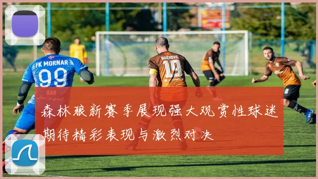 森林狼新赛季展现强大观赏性球迷期待精彩表现与激烈对决
