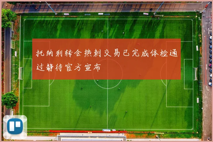 托纳利转会热刺交易已完成体检通过静待官方宣布